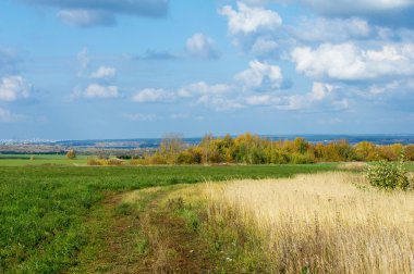 Sonbahar, altın yaprakları, harika bir zaman gün sıcak