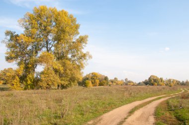 Sonbahar, Güz, yaprak sonbahar, sonbahar yaprak. yaprakları ve otelde bitkileri ve meyve toplandık yılın üçüncü sezon sonbahar
