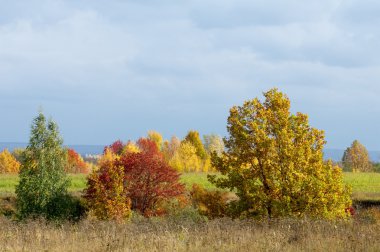 Sonbahar, altın yaprakları, harika bir zaman gün sıcak