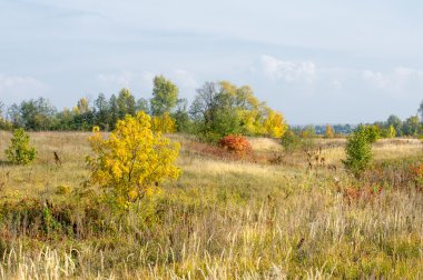 Sonbahar, Güz, yaprak sonbahar, sonbahar yaprak. yaprakları ve otelde bitkileri ve meyve toplandık yılın üçüncü sezon sonbahar
