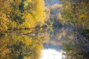 Sonbahar, Güz, yaprak sonbahar, sonbahar yaprak. yaprakları ve otelde bitkileri ve meyve toplandık yılın üçüncü sezon sonbahar