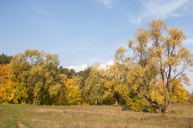 Sonbahar, Güz, yaprak sonbahar, sonbahar yaprak. yaprakları ve otelde bitkileri ve meyve toplandık yılın üçüncü sezon sonbahar