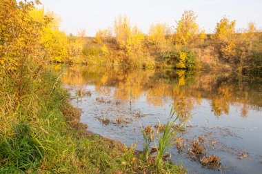 Sonbahar, Güz, yaprak sonbahar, sonbahar yaprak. yaprakları ve otelde bitkileri ve meyve toplandık yılın üçüncü sezon sonbahar