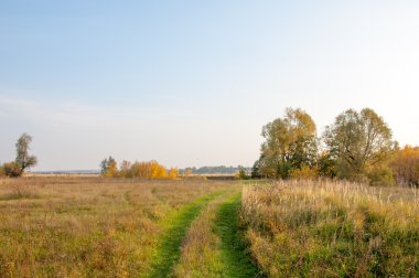Sonbahar, Güz, yaprak sonbahar, sonbahar yaprak. yaprakları ve otelde bitkileri ve meyve toplandık yılın üçüncü sezon sonbahar