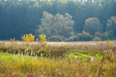 Sonbahar, Güz, yaprak sonbahar, sonbahar yaprak. yaprakları ve otelde bitkileri ve meyve toplandık yılın üçüncü sezon sonbahar