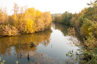 Sonbahar, Güz, yaprak sonbahar, sonbahar yaprak. yaprakları ve otelde bitkileri ve meyve toplandık yılın üçüncü sezon sonbahar
