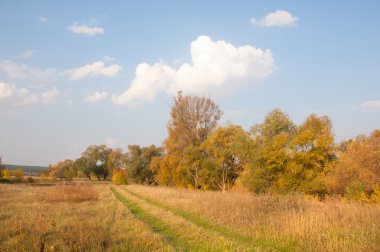 Sonbahar, Güz, yaprak sonbahar, sonbahar yaprak. yaprakları ve otelde bitkileri ve meyve toplandık yılın üçüncü sezon sonbahar