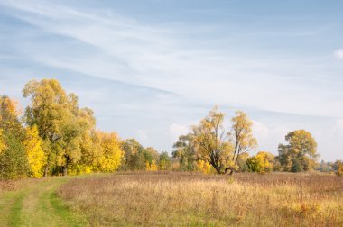 Sonbahar, Güz, yaprak sonbahar, sonbahar yaprak. yaprakları ve otelde bitkileri ve meyve toplandık yılın üçüncü sezon sonbahar