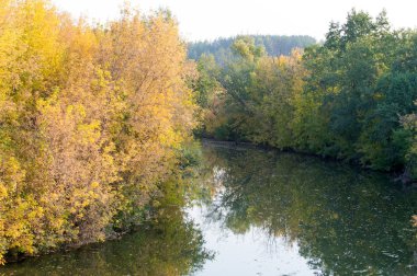 Sonbahar, Güz, yaprak sonbahar, sonbahar yaprak. yaprakları ve otelde bitkileri ve meyve toplandık yılın üçüncü sezon sonbahar