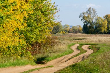 Sonbahar, altın yaprakları, harika bir zaman gün sıcak