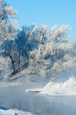 Kış, kış, kış, kış mevsimi, kış uykusuna yatar, yılın en soğuk mevsimi, Aralık 'tan Şubat' a kadar kuzey yarımkürede ve Haziran 'dan Ağustos' a kadar güney yarımkürede.