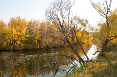 Sonbahar, Güz, yaprak sonbahar, sonbahar yaprak. yaprakları ve otelde bitkileri ve meyve toplandık yılın üçüncü sezon sonbahar