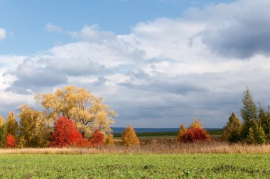 Sonbahar, altın yaprakları, harika bir zaman gün sıcak