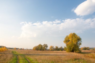 Sonbahar, Güz, yaprak sonbahar, sonbahar yaprak. yaprakları ve otelde bitkileri ve meyve toplandık yılın üçüncü sezon sonbahar