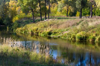Sonbahar, altın yaprakları, harika bir zaman gün sıcak