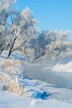 Kış, kış, kış, kış mevsimi, kış uykusuna yatar, yılın en soğuk mevsimi, Aralık 'tan Şubat' a kadar kuzey yarımkürede ve Haziran 'dan Ağustos' a kadar güney yarımkürede.