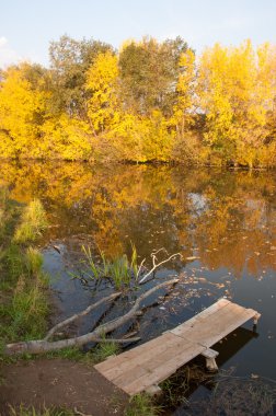 Sonbahar, Güz, yaprak sonbahar, sonbahar yaprak. yaprakları ve otelde bitkileri ve meyve toplandık yılın üçüncü sezon sonbahar