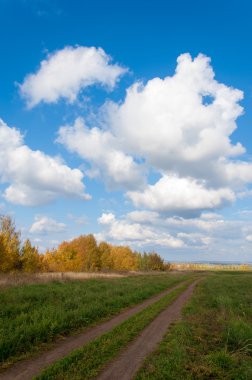 Sonbahar, altın yaprakları, harika bir zaman gün sıcak
