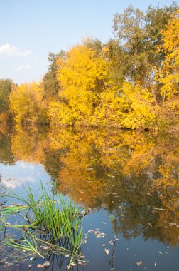 Sonbahar, Güz, yaprak sonbahar, sonbahar yaprak. yaprakları ve otelde bitkileri ve meyve toplandık yılın üçüncü sezon sonbahar