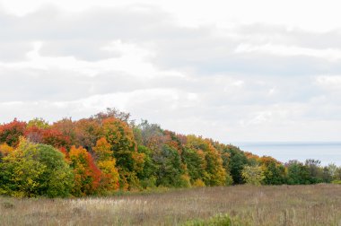 Sonbahar, altın yaprakları, harika bir zaman gün sıcak