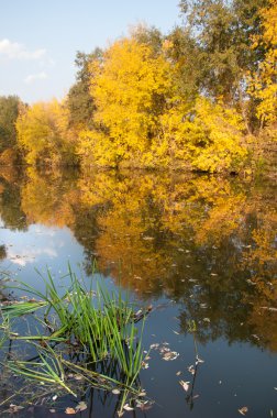 Sonbahar, Güz, yaprak sonbahar, sonbahar yaprak. yaprakları ve otelde bitkileri ve meyve toplandık yılın üçüncü sezon sonbahar