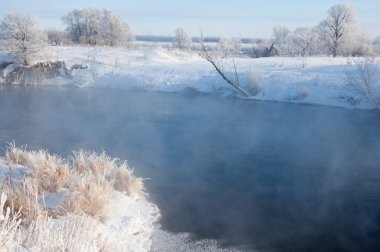 Kış manzarası. Frost Frost'un ağaçlar üzerinde. Aşırı soğuk. hoarfrost. donmuş su buharı, kurulmuş bir grimsi-beyaz kristal depozito temizleyin hala bitki örtüsü hava