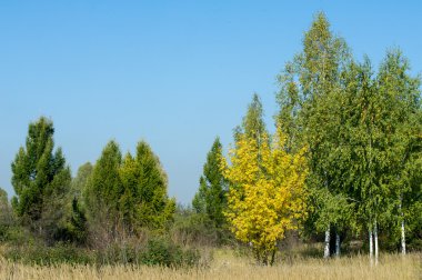 Sonbahar, Güz, yaprak sonbahar, sonbahar yaprak. üçüncü sezon yıl, ne zaman bitkileri ve meyve toplandık ve yaprakları düşer, Eylül-Kasım Kuzey yarımkürede ve Mayıs Mart Güney yarımkürede.