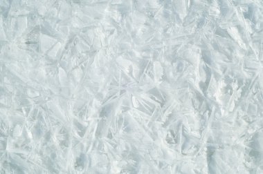 siyah bir arka plan üzerinde izole kırmızı kaplan lily.