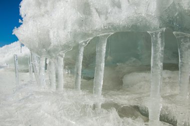 siyah bir arka plan üzerinde izole kırmızı kaplan lily.