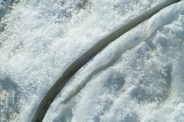 siyah bir arka plan üzerinde izole kırmızı kaplan lily.