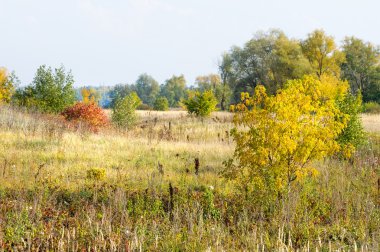 Sonbahar, Güz, yaprak sonbahar, sonbahar yaprak. yaprakları ve otelde bitkileri ve meyve toplandık yılın üçüncü sezon sonbahar