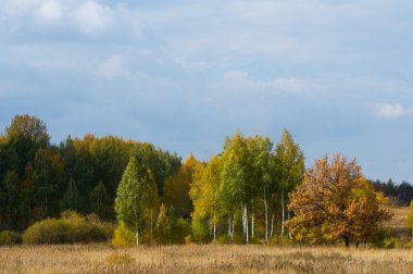 Sonbahar, altın yaprakları, harika bir zaman gün sıcak
