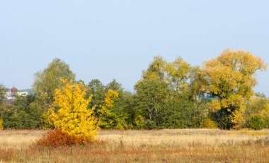 Sonbahar, Güz, yaprak sonbahar, sonbahar yaprak. yaprakları ve otelde bitkileri ve meyve toplandık yılın üçüncü sezon sonbahar