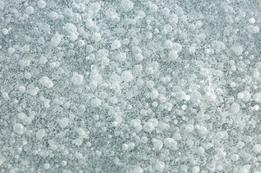 siyah bir arka plan üzerinde izole kırmızı kaplan lily.