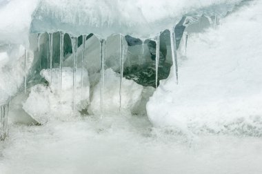 siyah bir arka plan üzerinde izole kırmızı kaplan lily.