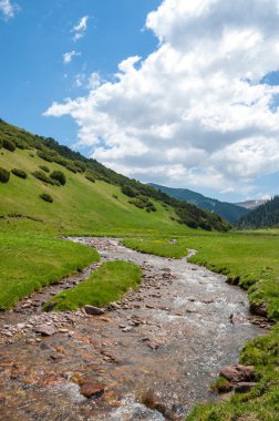 dağ, dağ, tepe. Kazakistan. Tien Shan. Takma Yaylası
