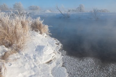 Kış manzarası. Frost Frost'un ağaçlar üzerinde. Aşırı soğuk. hoarfrost. donmuş su buharı, kurulmuş bir grimsi-beyaz kristal depozito temizleyin hala bitki örtüsü hava