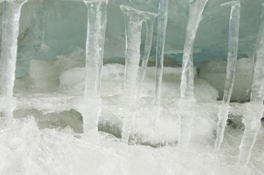 siyah bir arka plan üzerinde izole kırmızı kaplan lily.