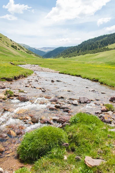 Hora, hora, vrch. Kazachstán. Tien Shan. Komplet plošina — Stock fotografie