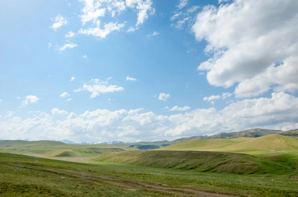 Góra, Góra, wzgórze. Kazachstan. Tien Shan. Assy płaskowyżu — Zdjęcie stockowe