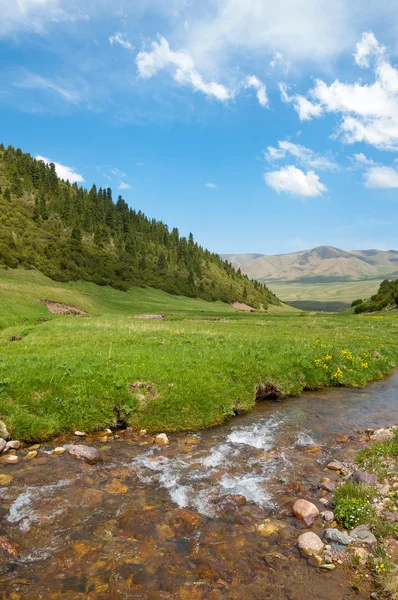 Hora, hora, vrch. Kazachstán. Tien Shan. Komplet plošina — Stock fotografie