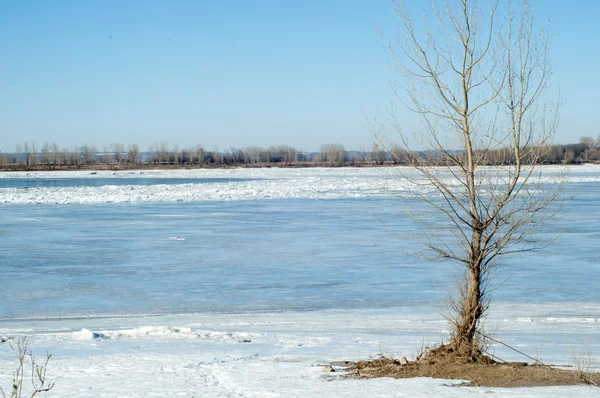 Vloed Van Rivier Verscheurd Rivier Ijs Rivier Met Het Laatste — Stockfoto