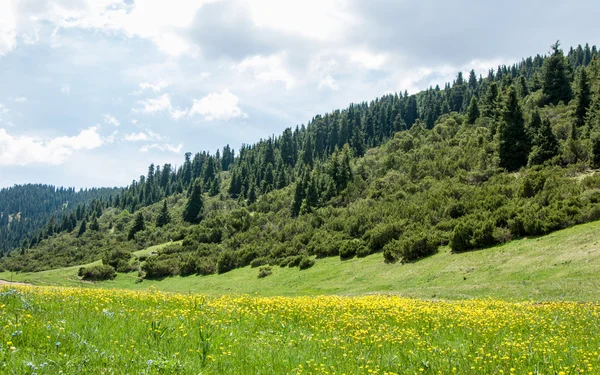 Mountain, mount, hill. Kazakhstan. Tien Shan. Assy plateau — Stock Photo, Image