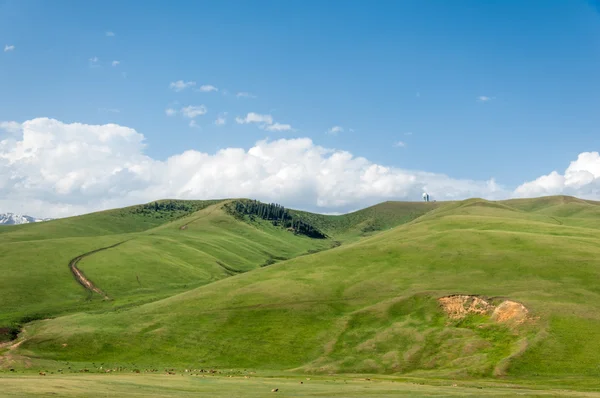dağ, dağ, tepe. Kazakistan. Tien Shan. Takma Yaylası