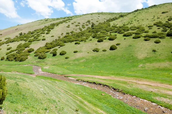 Mountain, mount, hill. Kazakhstan. Tien Shan. Assy plateau — Stock Photo, Image