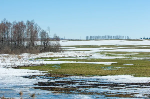 Primavera nieve invierno pasado — Foto de Stock