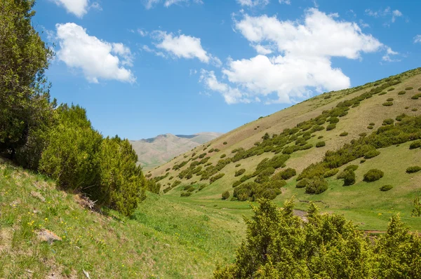 Mountain, mount, hill — Stock Photo, Image