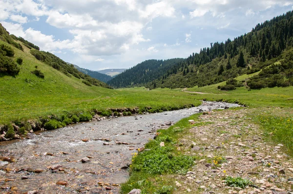 Montagna, monte, collina — Foto Stock