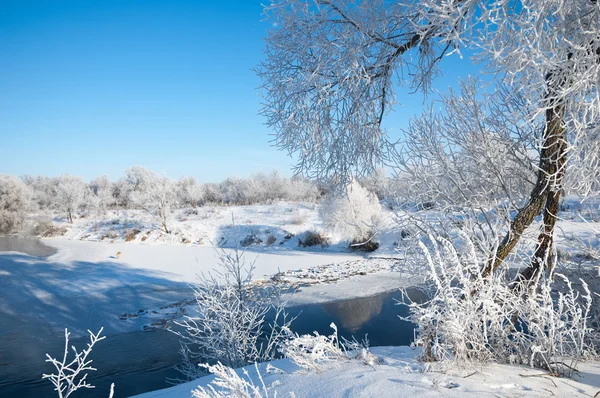 Winter, Winter-Flut, Winter-Zeit — Stockfoto