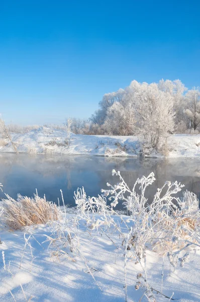 Winter, Winter-Flut, Winter-Zeit — Stockfoto